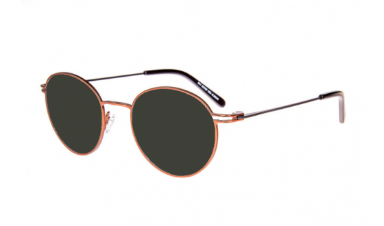 Sunglasses Biscayne - Bronze and Black