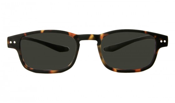 Sunglasses Clan - Tortoise