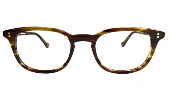 Optical glasses NY24C2 - Tortoise
